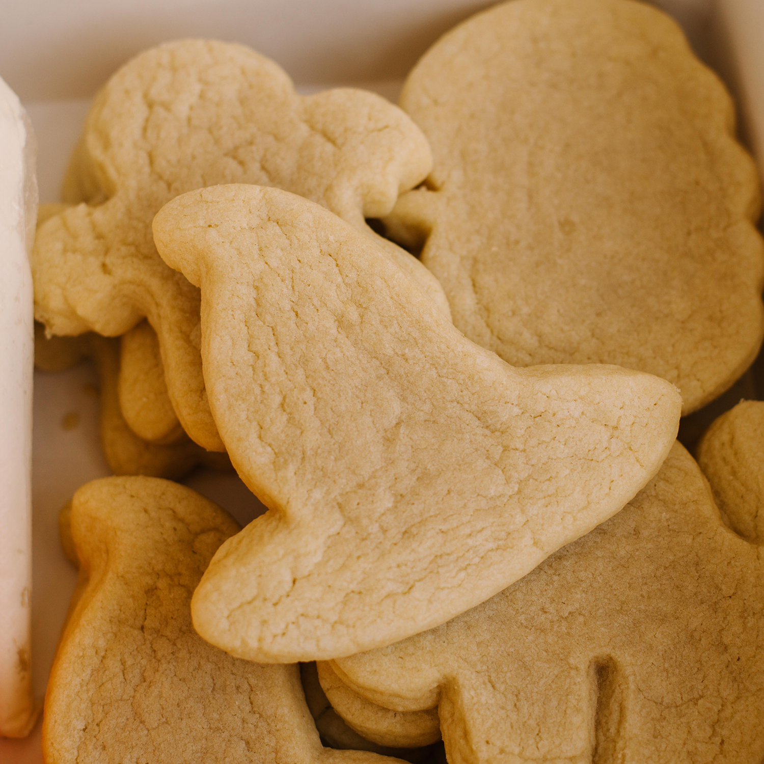 Halloween Cookie Decorating Kit