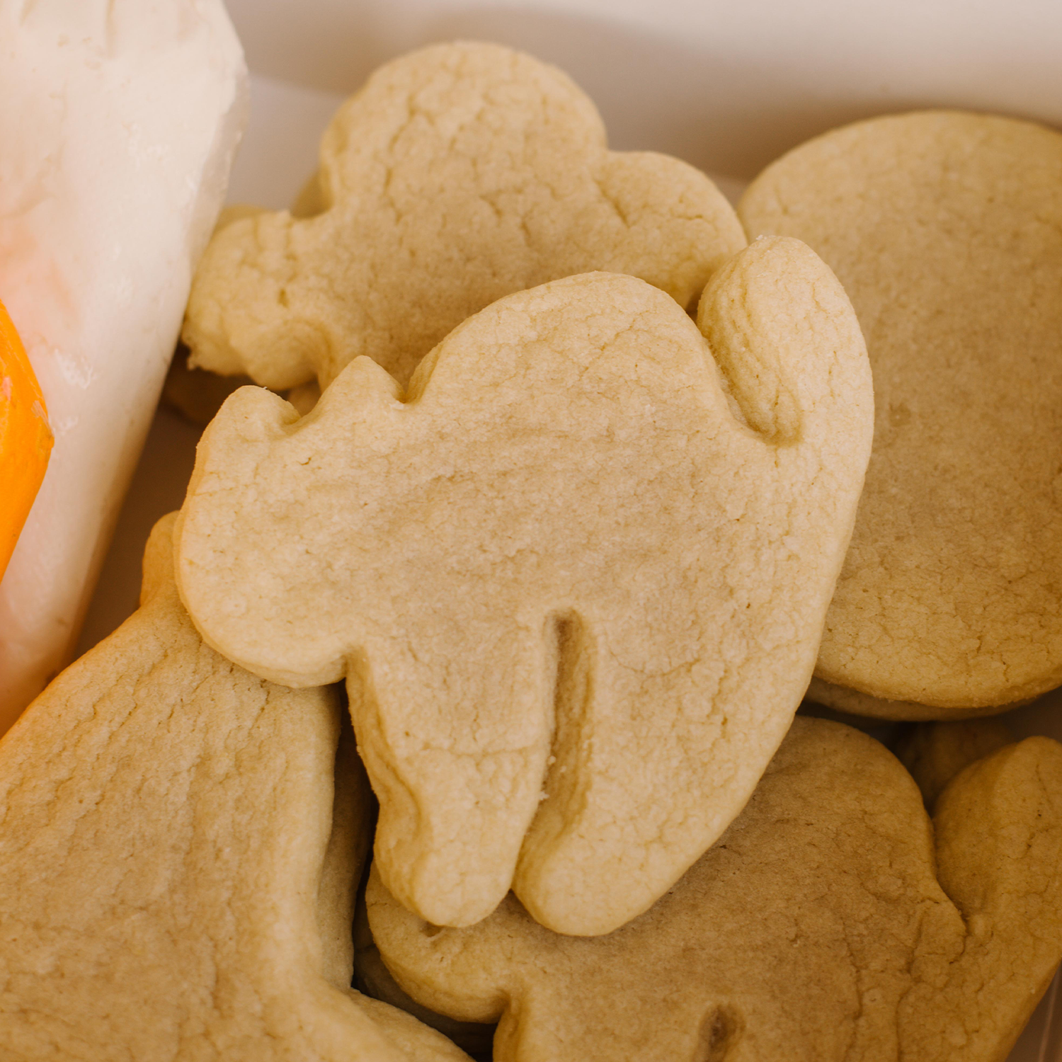 Halloween Cookie Decorating Kit