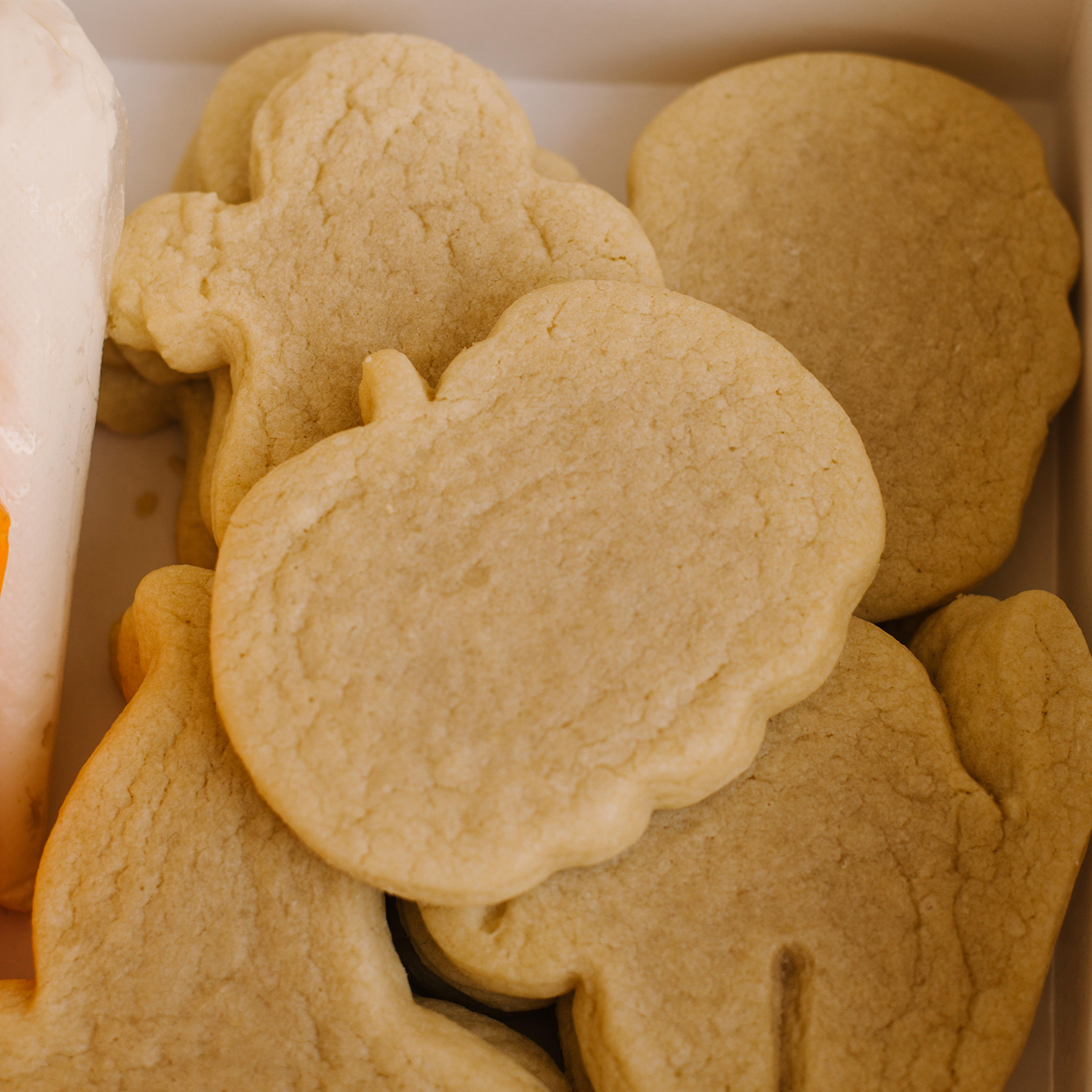 Halloween Cookie Decorating Kit
