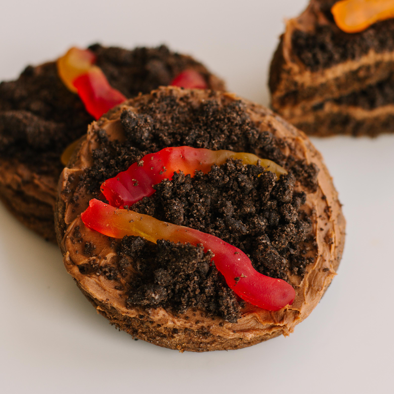 Dirt 'N' Worms (SEASONAL)