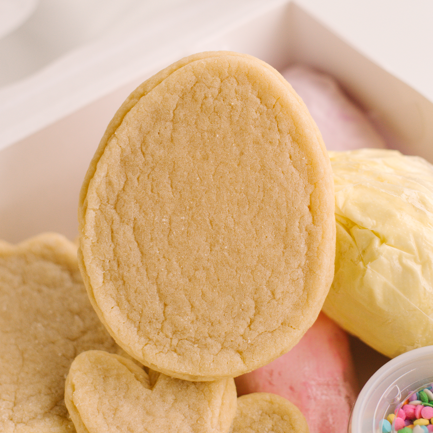 Spring & Easter Decorating Kit