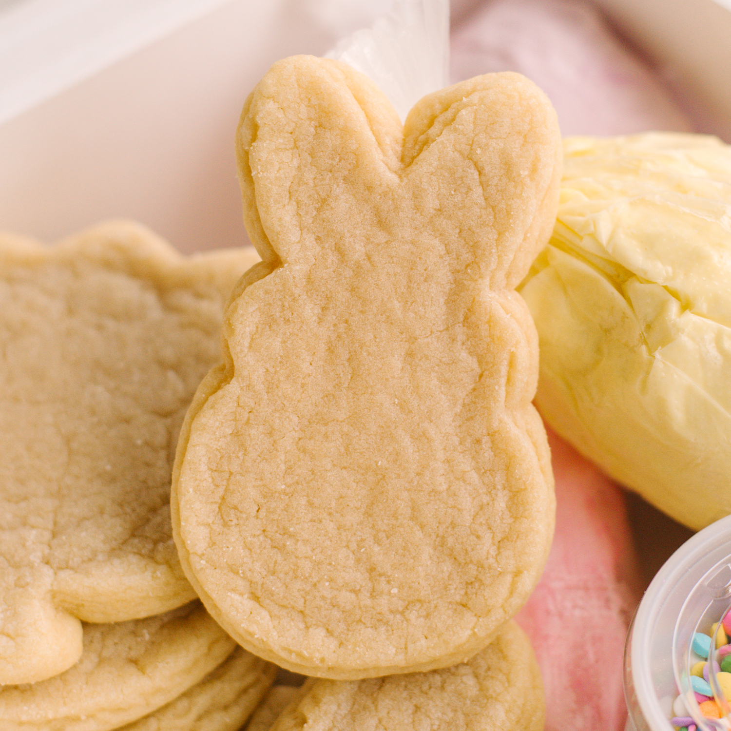 Spring & Easter Decorating Kit