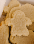 Halloween Cookie Decorating Kit