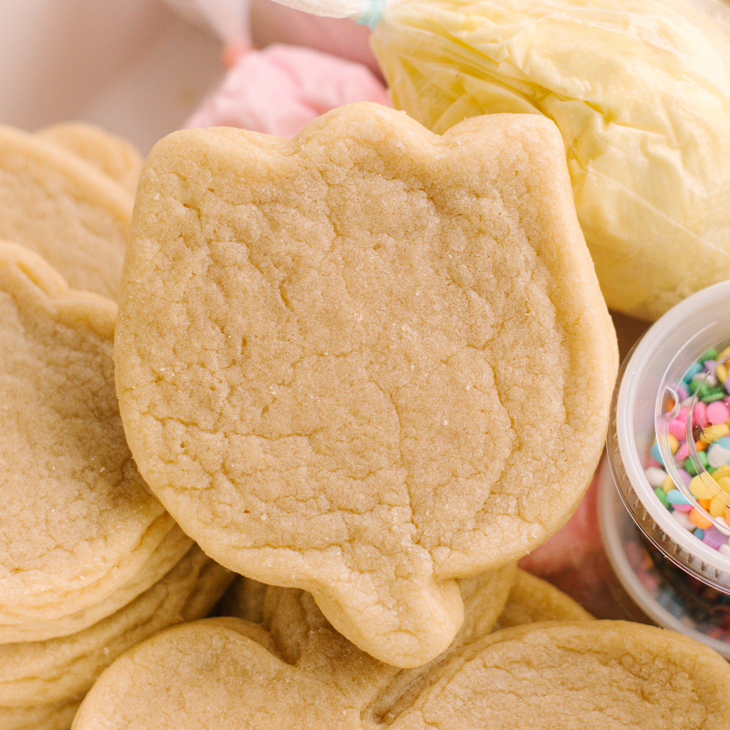 Spring & Easter Decorating Kit