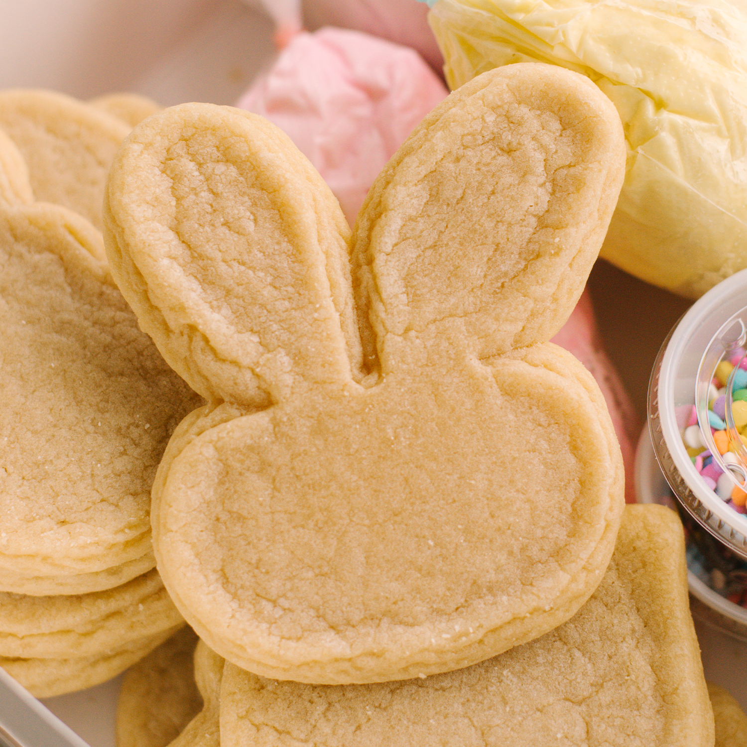 Spring & Easter Decorating Kit