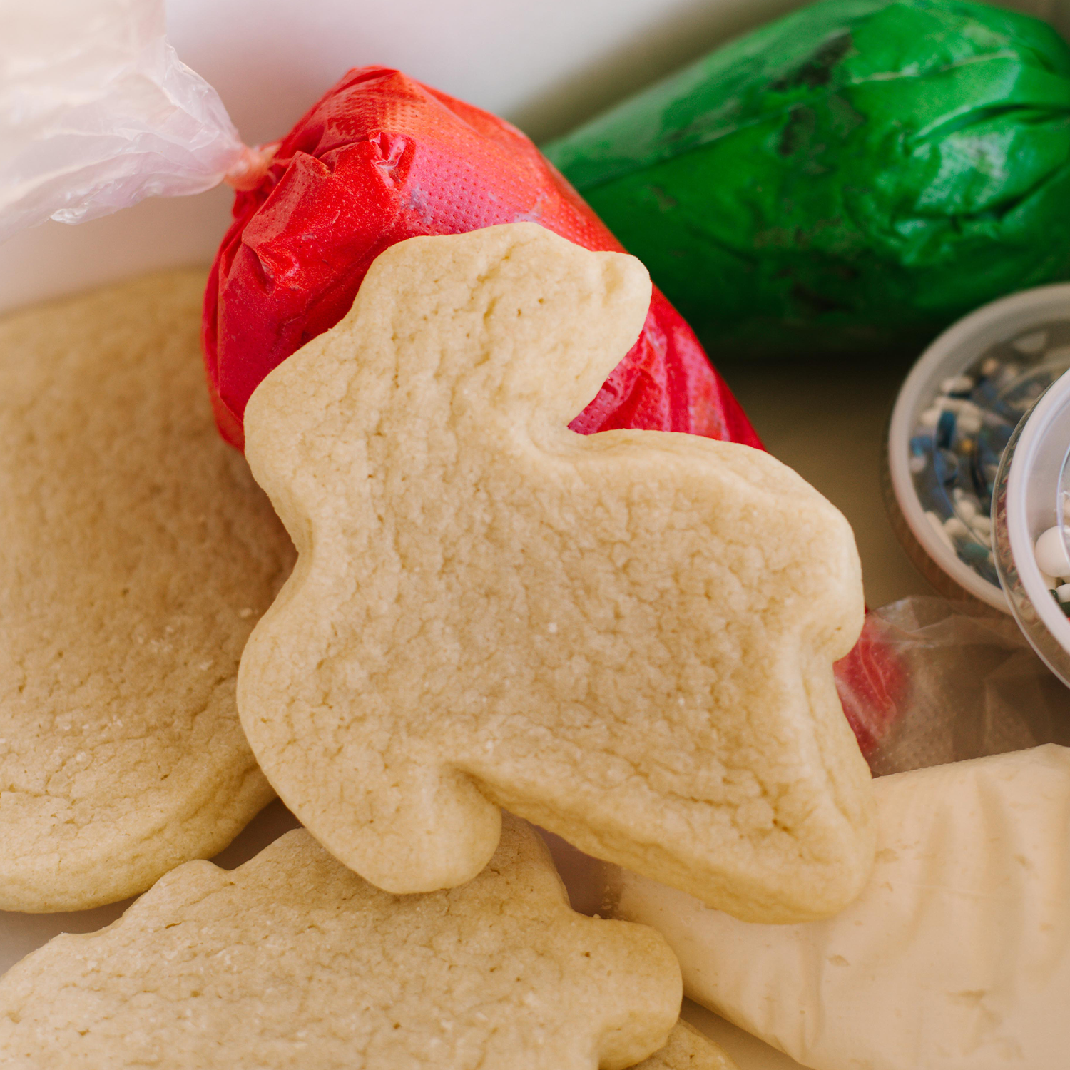 Christmas Cookie Decorating Kit