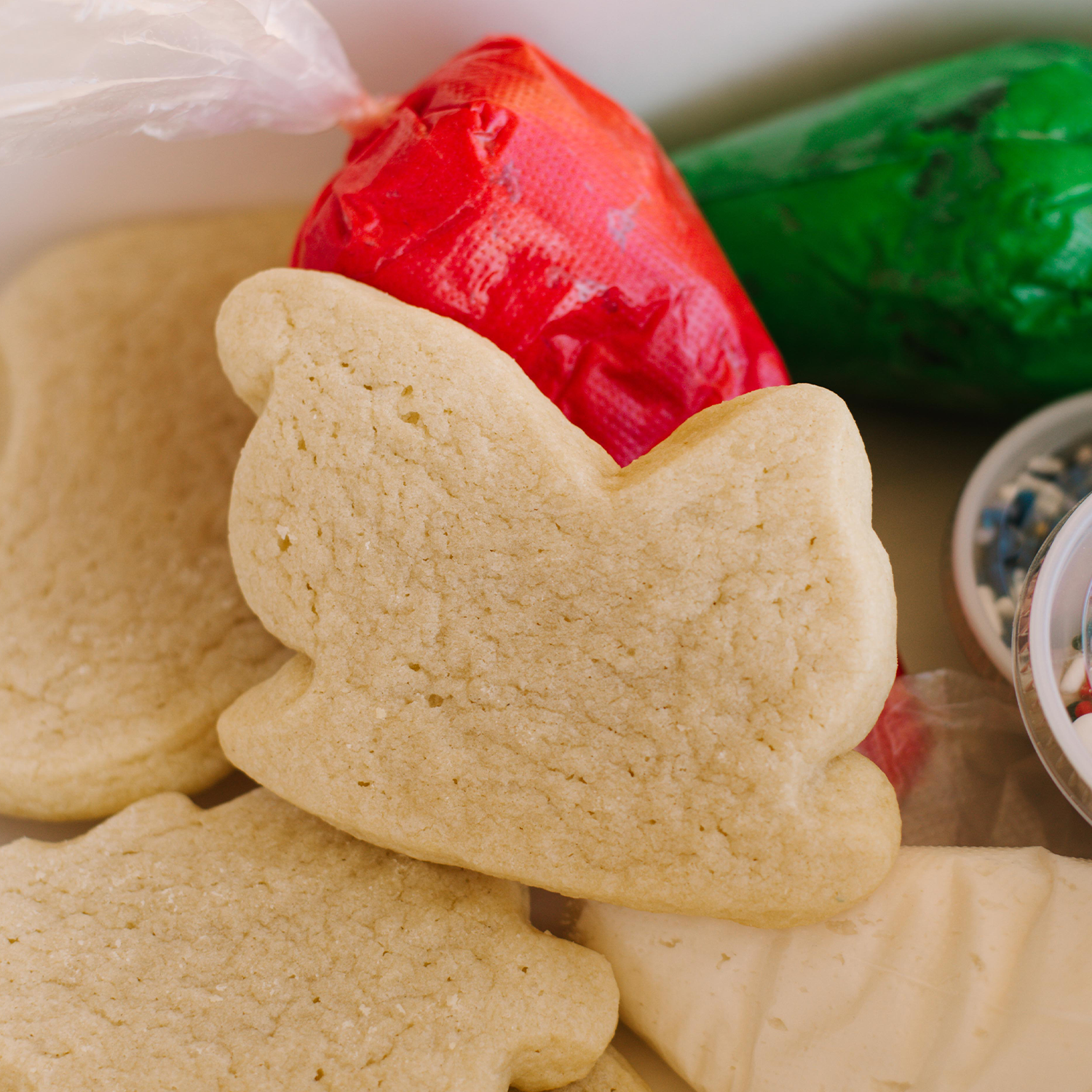 Christmas Cookie Decorating Kit