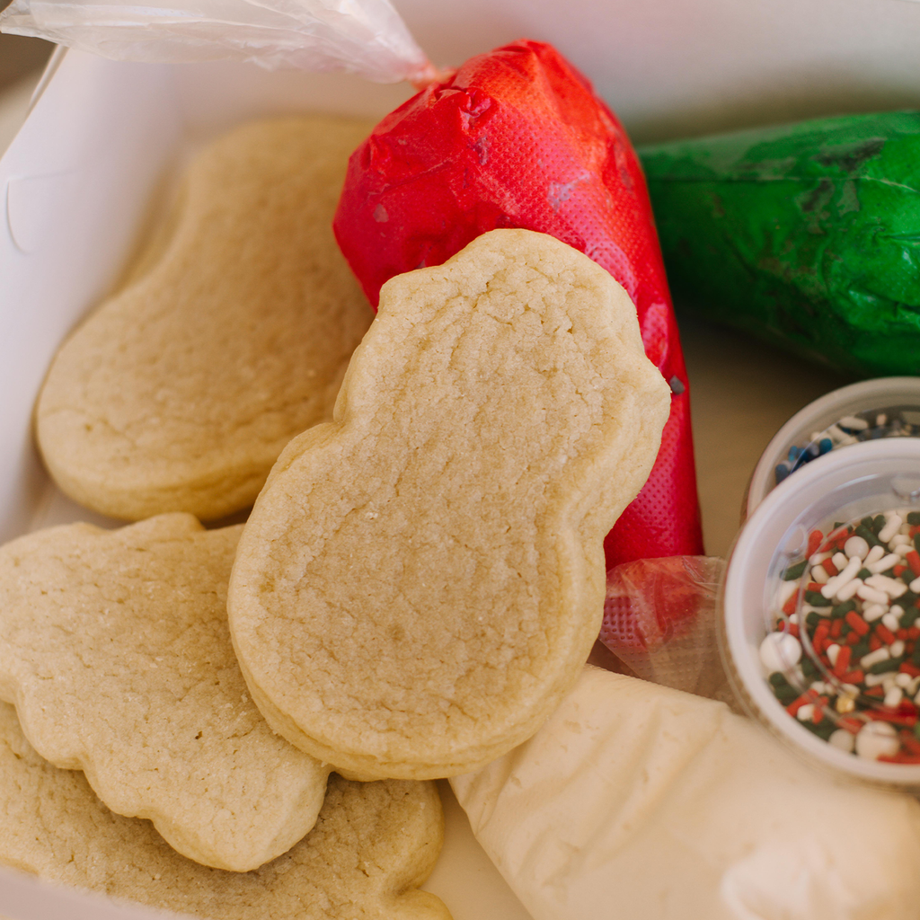 Christmas Cookie Decorating Kit