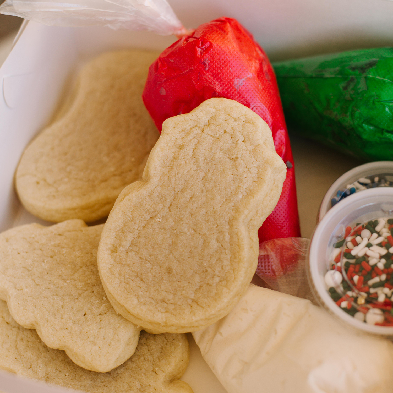 Christmas Cookie Decorating Kit
