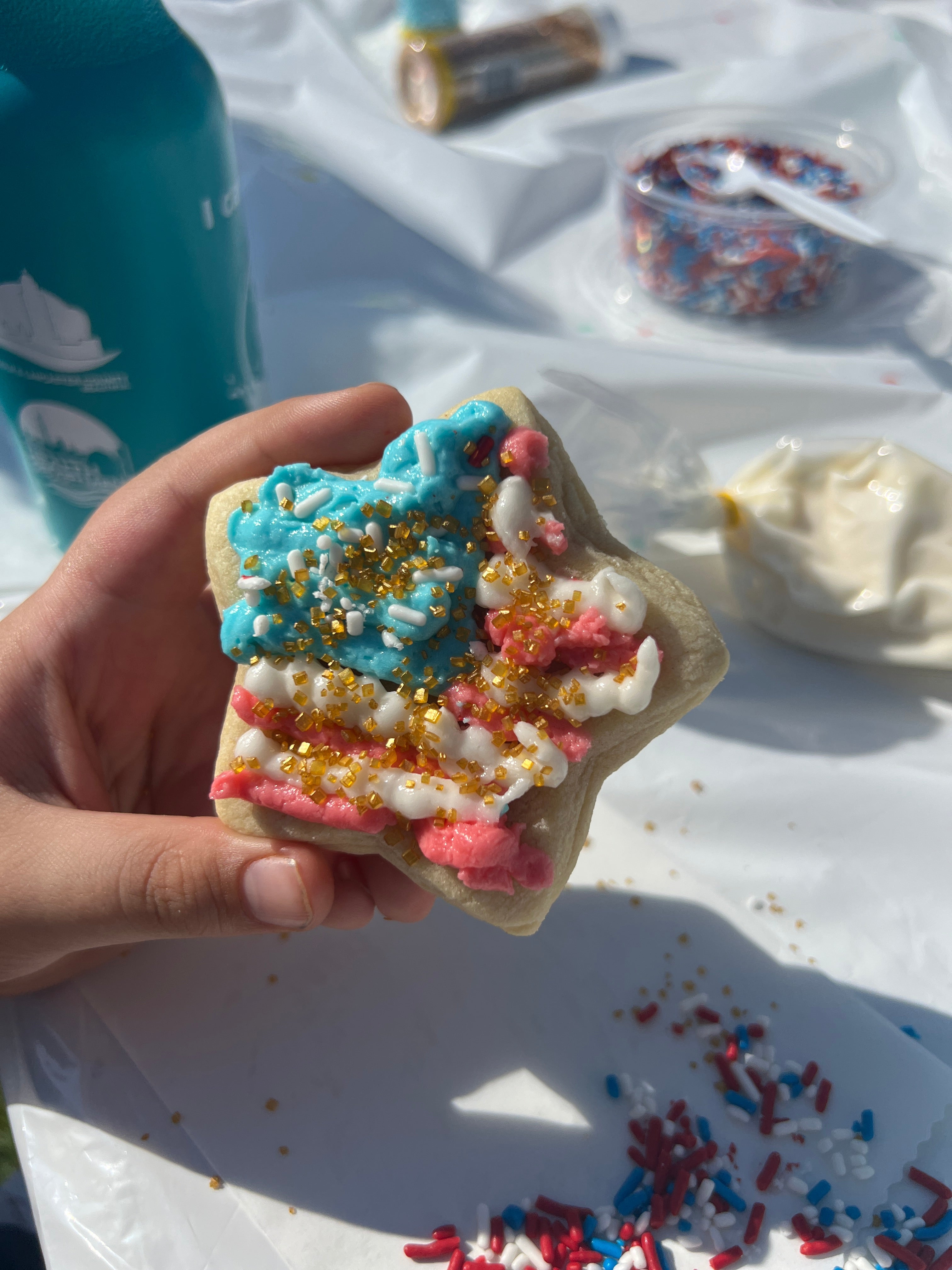 Flash Sale 4th of July Cookie Decorating